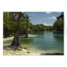 Suwannee River Beach Blank Card