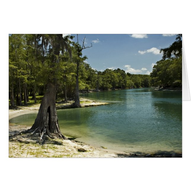 Suwannee River Beach Blank Card (Vorderseite (Horizontal))