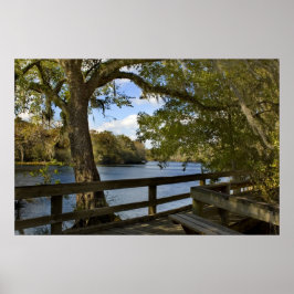Suwannee River Boardwalk Print Poster