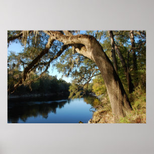 Suwannee River Poster