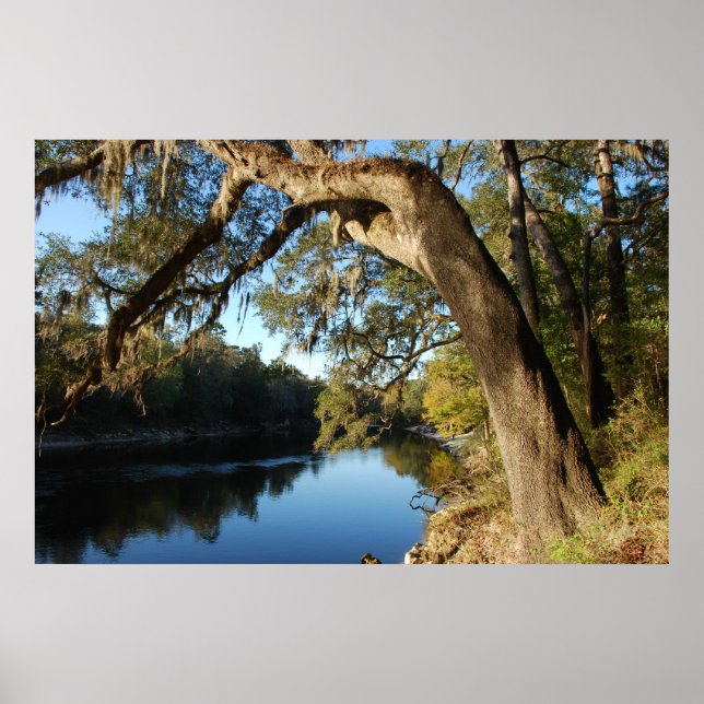 Suwannee River Poster (Vorne)