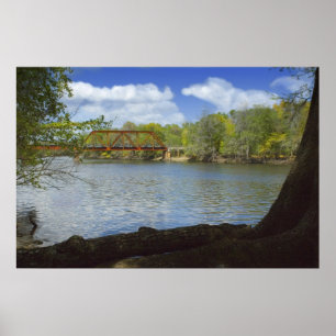 Suwannee River Railroad Trestle Print Poster