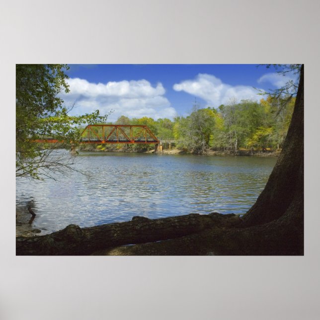 Suwannee River Railroad Trestle Print Poster (Vorne)
