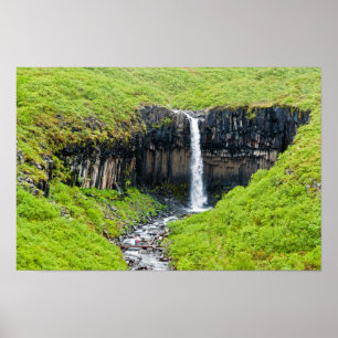 Svartifoss Wasserfall im Skaftafell - Island Poster