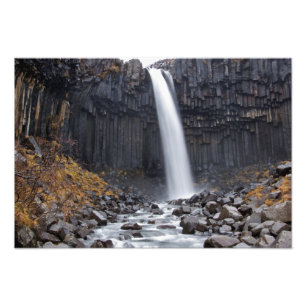 Svartifoss Wasserfall in Island Foto drucken
