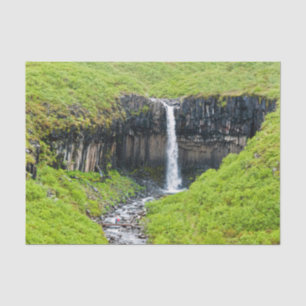 Svartifoss Wasserfall in Skaftafell - Island Seidenpapier