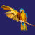 Parrot_Mart