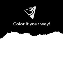 Black and White Pillows - Living Room