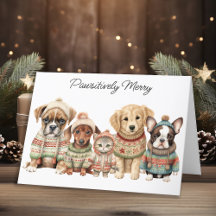 Adorable Animals Dog Cat Puppy Kitten Christmas