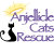 AnjellicleCats