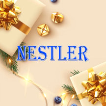 Nestler_Name T-Shirt