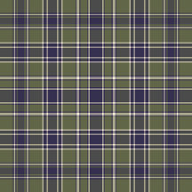 Plaid No. 71