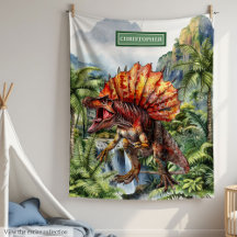 Prehistoric Antique Dinosaur Boy Blanket #97B