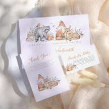 Woodland Forest Animals Vintage Baby Shower