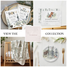 Misty Forest   Woodland Wilderness