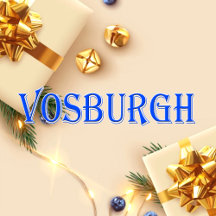 Vosburgh_Name T-Shirt