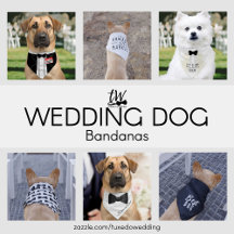 Wedding Dog Bandanas and Dog Collars