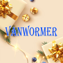 Vanwormer_Name T-Shirt
