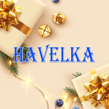Havelka_Name T-Shirt