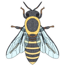 Crochet Honeybee Collection