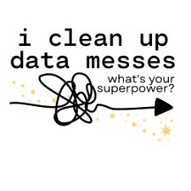 I Clean Up Data Messes