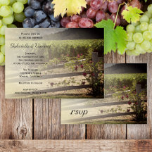 Vineyard and Rose Fence Wedding