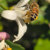 Em_Maree_Photography