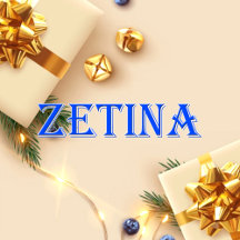 Zetina_Name T-Shirt