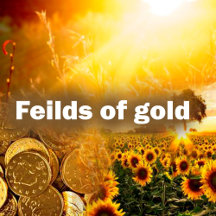 Fields of Gold