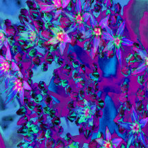 Succulent Sedum Flowers in Teal, Magenta and Blue