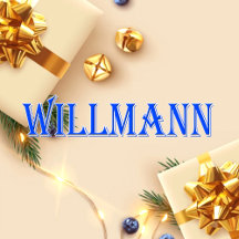 Willmann_Name T-Shirt