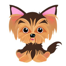 Sweet Baby Pink and Brown Yorkie Collection