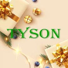Tyson Name T-Shirt