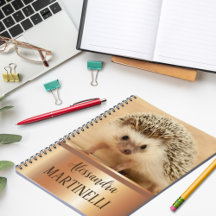 Adorable Cute Hedgehogs Products