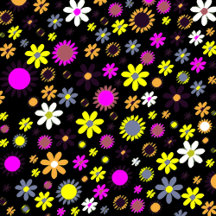 Cheerful Mod Black Floral