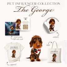 The George Pet Influencer Collection