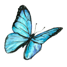 Blue watercolor butterflies