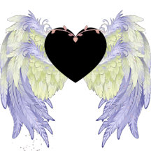 rainbow angel wings 