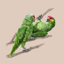 Parrots