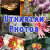 Utharian Photos
