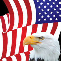 MILITARY, MEDICAL, LAW