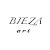 Bieza_art