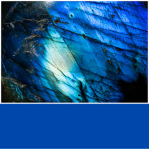 Cobalt Blue Solid Color