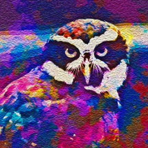 "Woody Whoo" Owl Collection