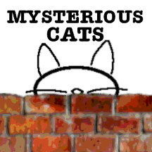 mysterious cats