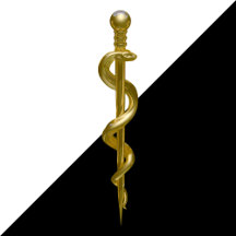Classy Noble Rod of Asclepius Medical Gold