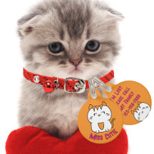 Cute Cartoon Pet ID Tags, Leashes and Collars