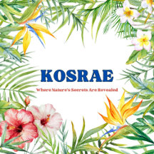 Kosrae Roots Collection