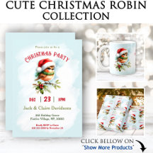 Cute Christmas Robin