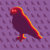 snazzybird